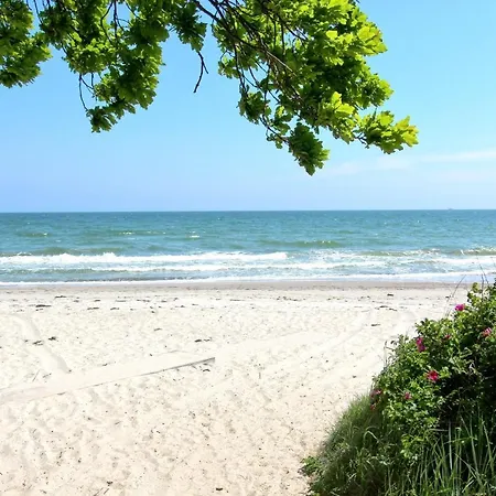 Strandresort Rex Rugia Ferienwohnung 13-7 Mit Sauna- Und Schwimmbadnutzung Im Ahoi Sellin *