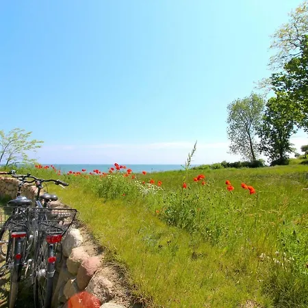 Apartmán Strandnahe Mit Balkon, Gratis Nutzung Vom Ahoi Erlebnisbad Und Sauna In Sellin - Rex Rugia 13-7